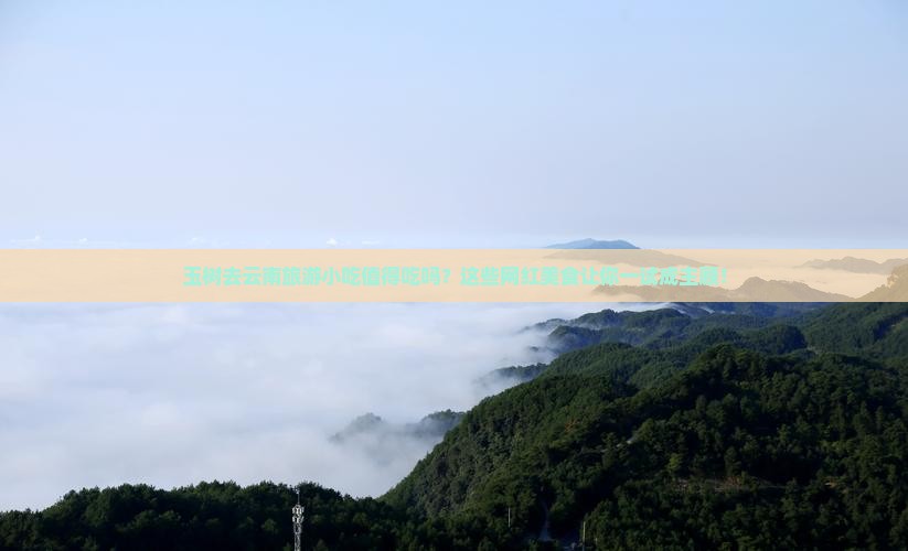 玉树去云南旅游小吃