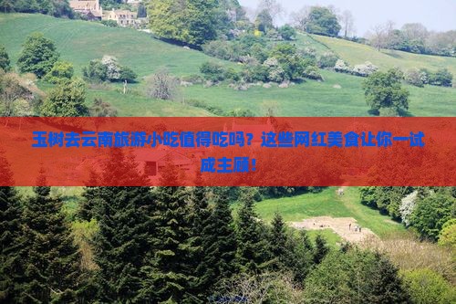 玉树去云南旅游小吃