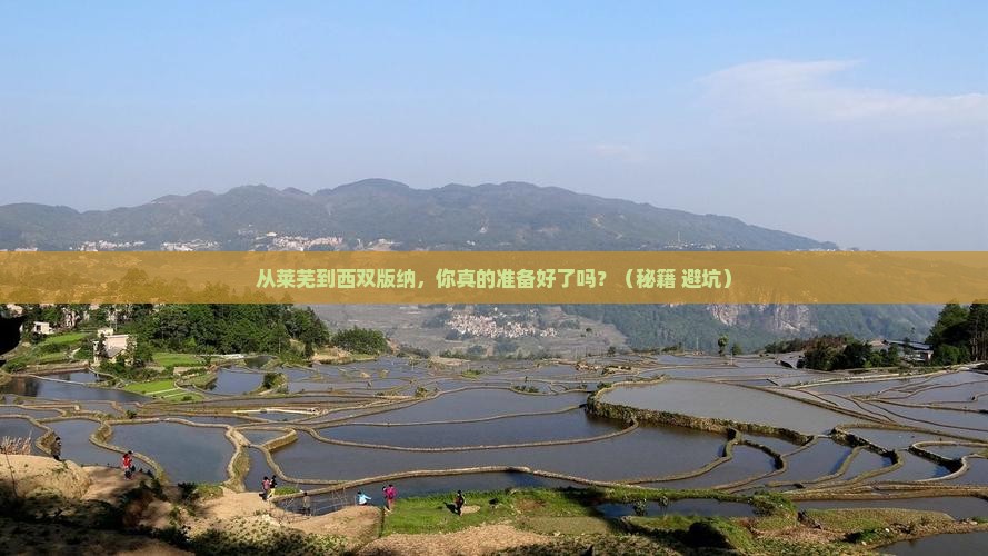 莱芜去云南西双版纳攻略