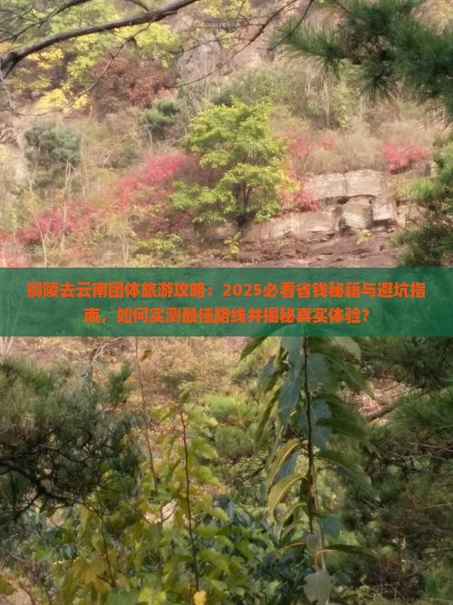 铜陵去云南团体旅游