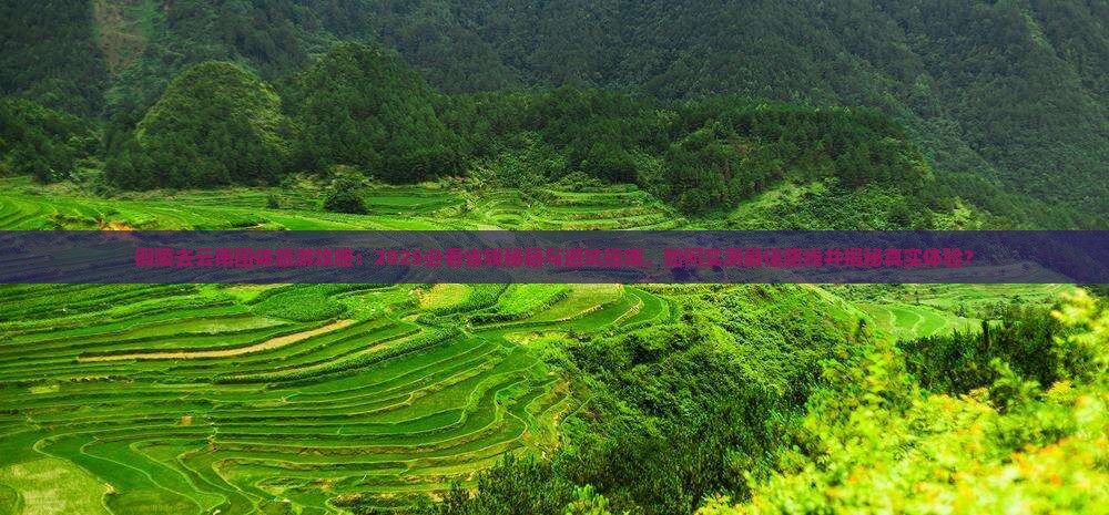 铜陵去云南团体旅游
