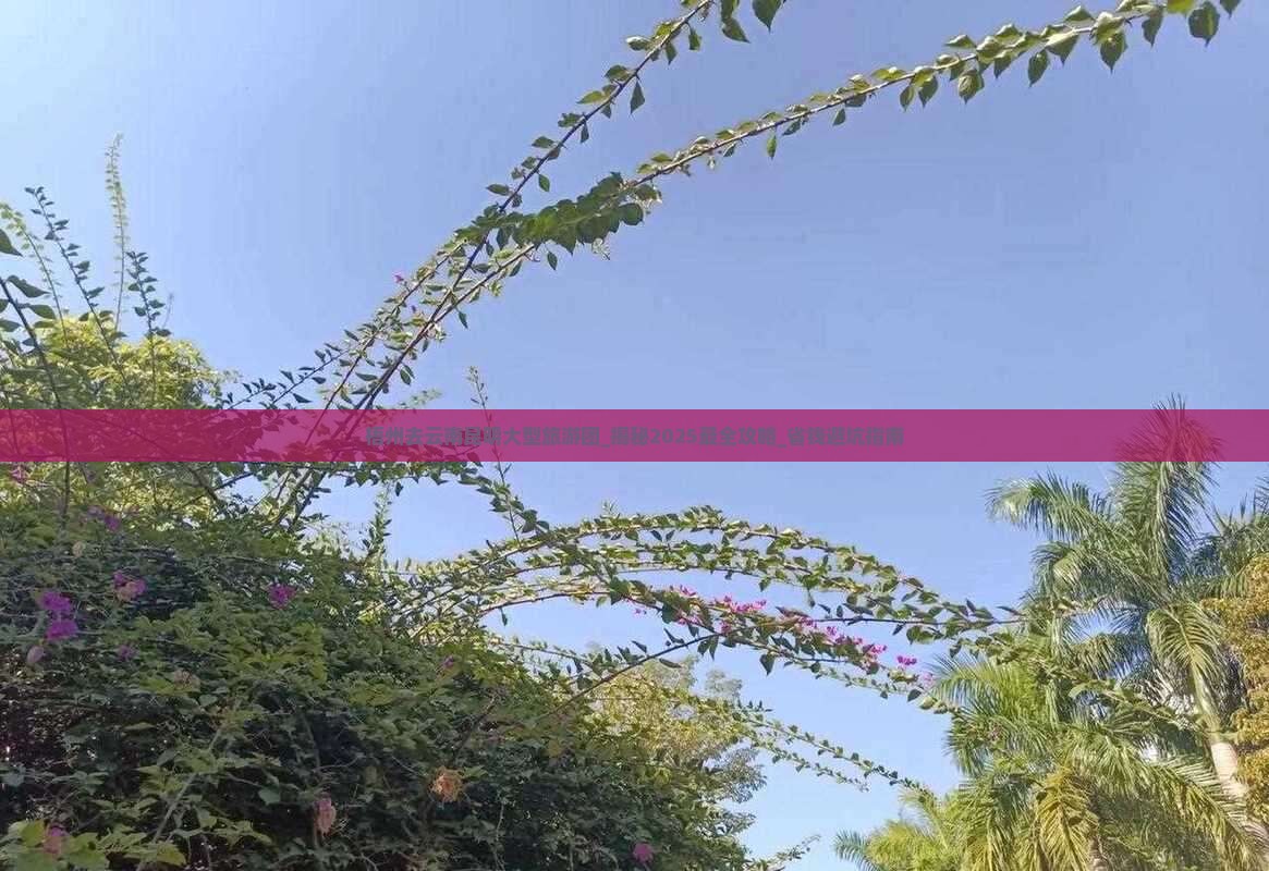 梧州去云南昆明大型旅游团