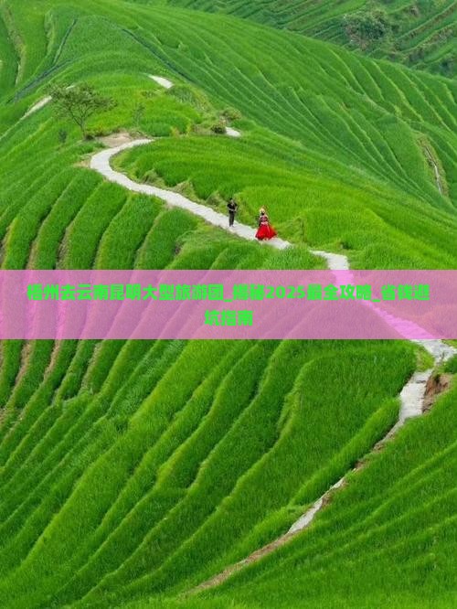 梧州去云南昆明大型旅游团