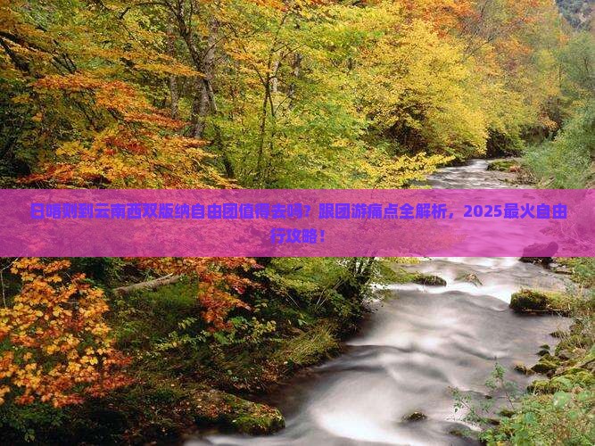 日喀则到云南西双版纳自由团
