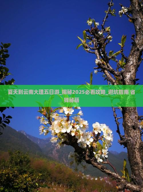 夏天到云南大理五日游