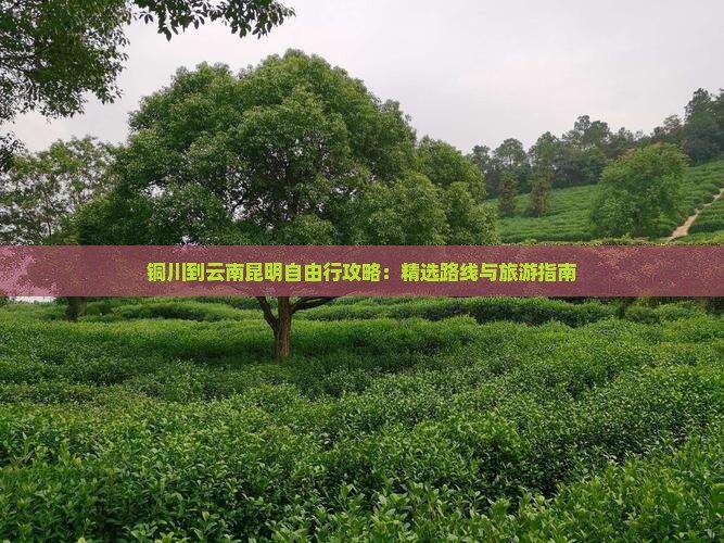 铜川到云南昆明自由行