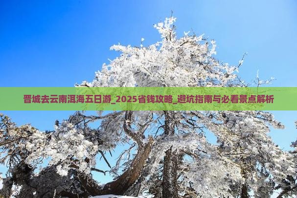 晋城去云南洱海五日游