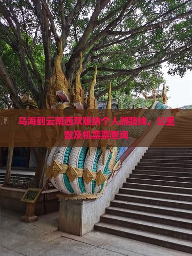 乌海到云南西双版纳个人游