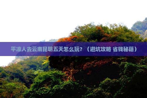 平凉去云南昆明五日游