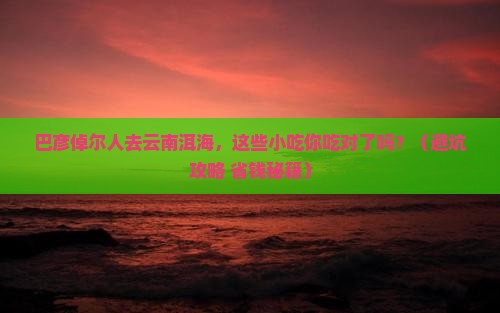巴彦倬尔去云南洱海旅游小吃