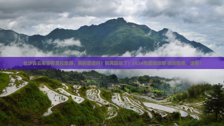 长沙去云南香格里拉旅游