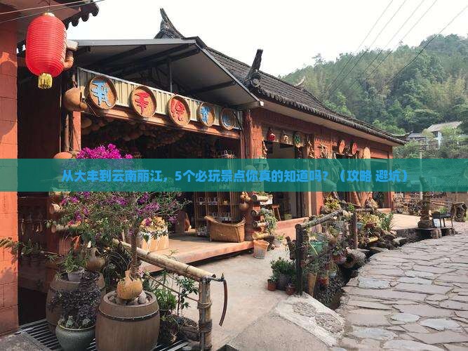 大丰去云南丽江哪里玩