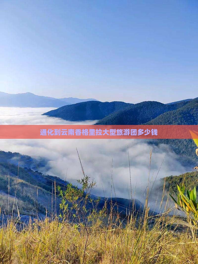 通化到云南香格里拉大型旅游团