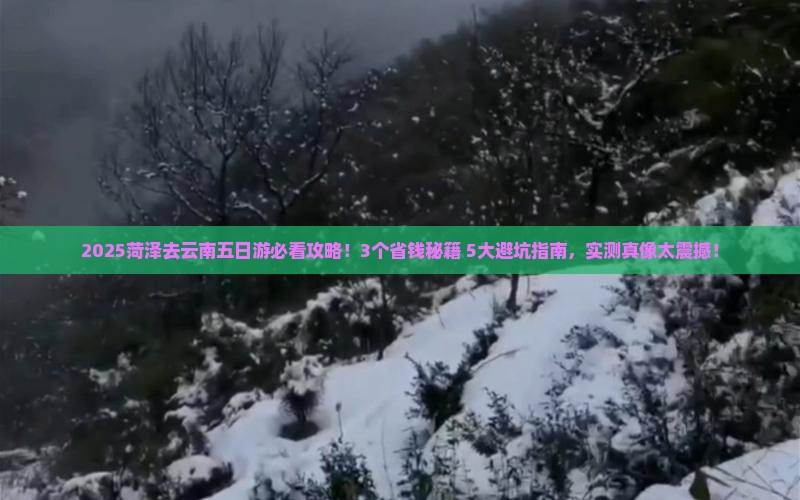 菏泽去云南五日游
