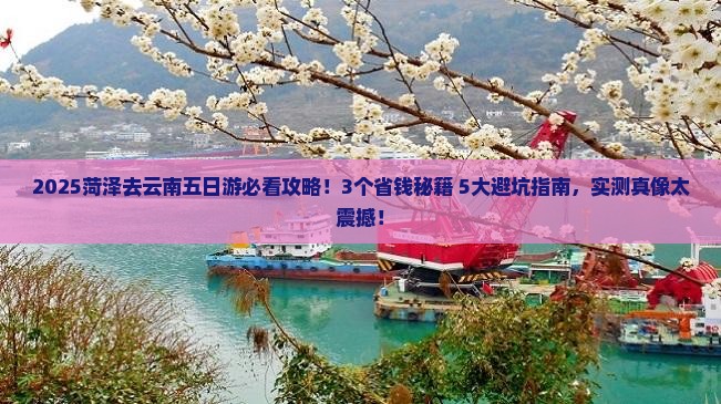 菏泽去云南五日游