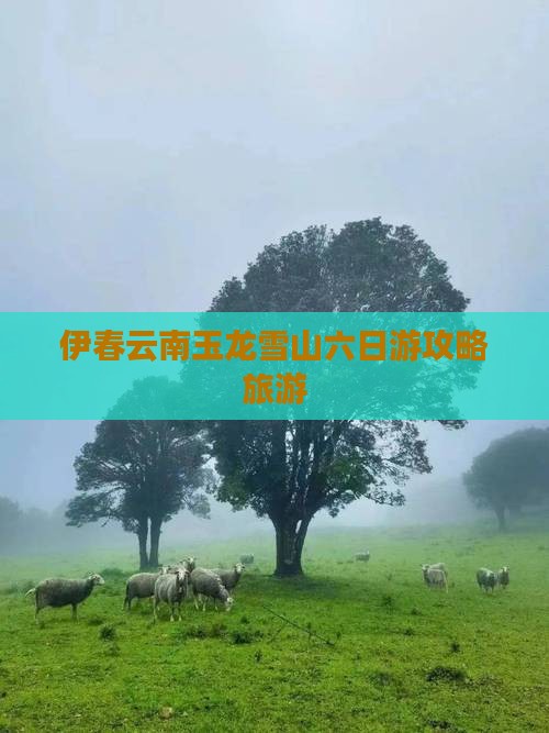 伊春去云南玉龙雪山六日游