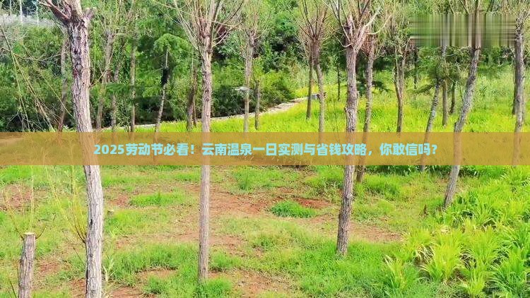 劳动节到云南温泉一日