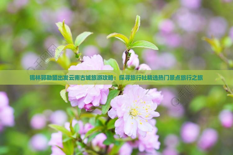 锡林郭勒盟出发云南古城旅游攻略：探寻旅行社精选热门景点旅行之旅