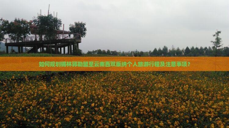 如何规划锡林郭勒盟至云南西双版纳个人旅游行程及注意事项？