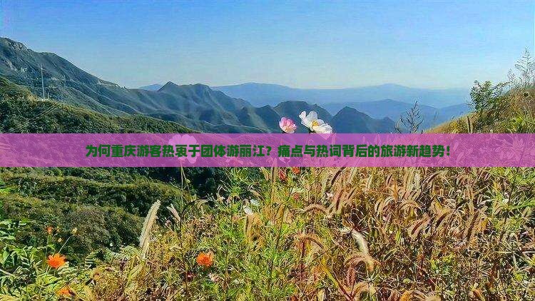 为何重庆游客热衷于团体游丽江？痛点与热词背后的旅游新趋势！
