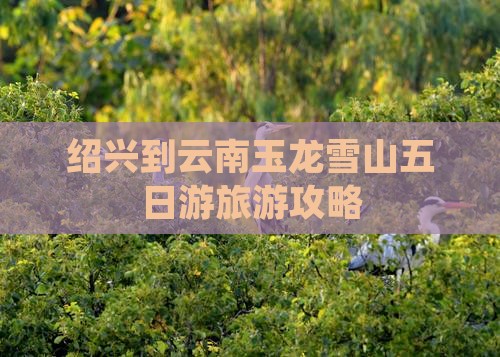 绍兴到云南玉龙雪山五日游旅游攻略