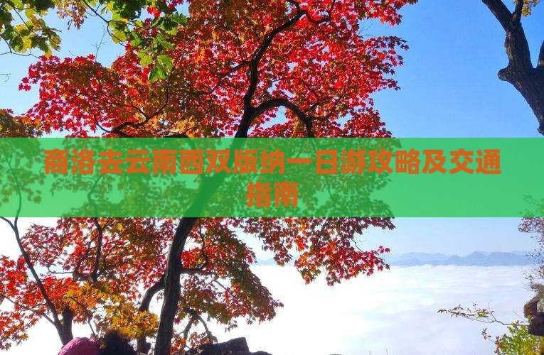 商洛去云南西双版纳一日游攻略及交通指南