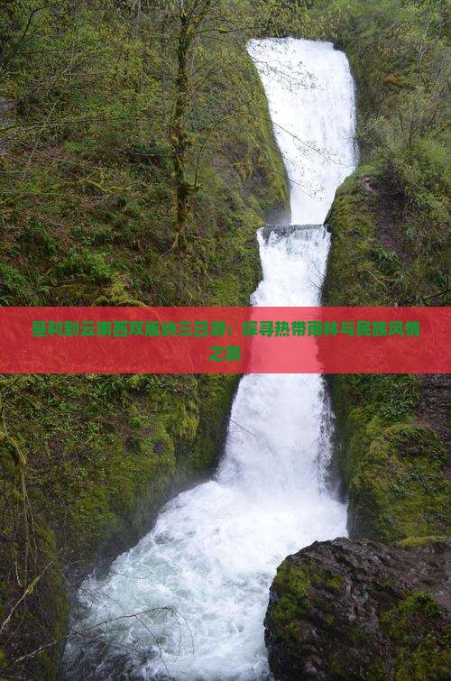 垦利到云南西双版纳三日游：探寻热带雨林与民族风情之旅