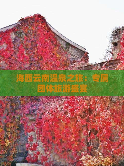 海西云南温泉之旅：专属团体旅游盛宴