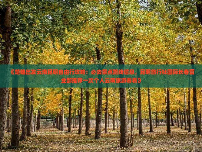 《楚雄出发云南昆明自由行攻略：必去景点路线信息，昆明旅行社国际长春营业部推荐一次个人云南旅游看看》