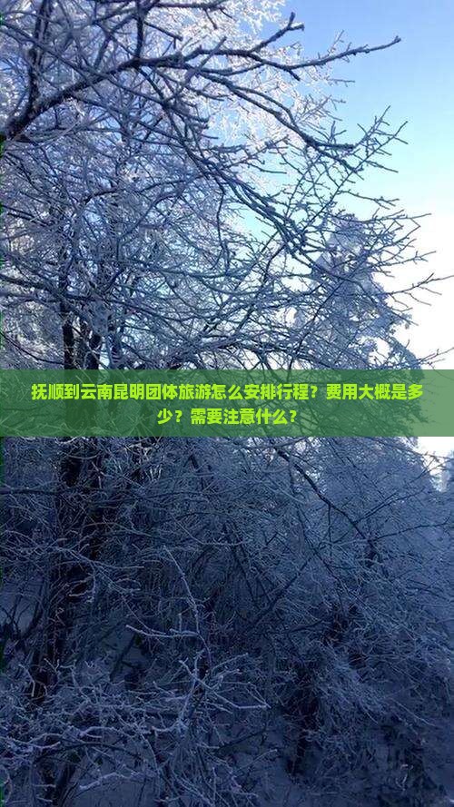 抚顺到云南昆明团体旅游怎么安排行程？费用大概是多少？需要注意什么？
