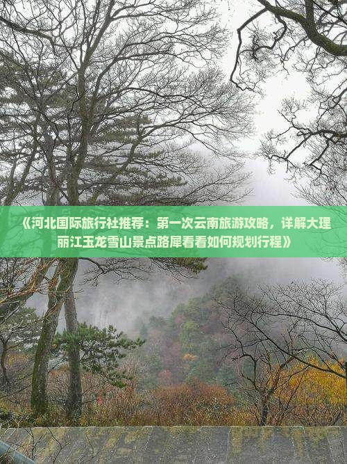 《河北国际旅行社推荐：第一次云南旅游攻略，详解大理丽江玉龙雪山景点路犀看看如何规划行程》