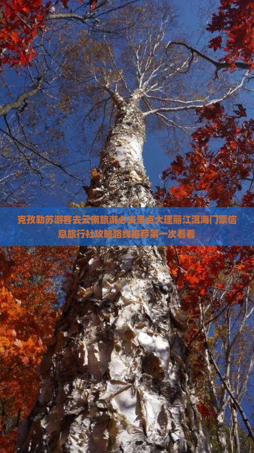 克孜勒苏游客去云南旅游必去景点大理丽江洱海门票信息旅行社攻略路线推荐第一次看看