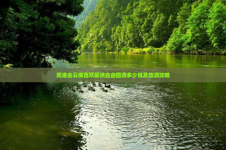 贵港去云南西双版纳自由团游多少钱及旅游攻略