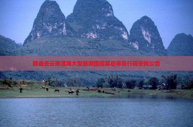 那曲去云南洱海大型旅游团招募启事及行程安排公告