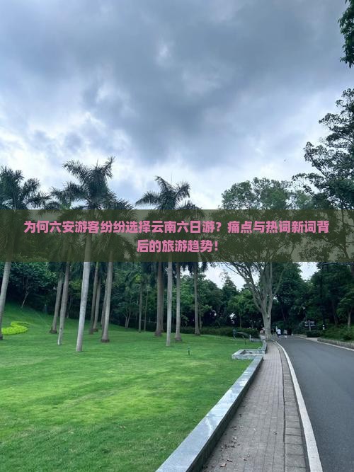 为何六安游客纷纷选择云南六日游？痛点与热词新词背后的旅游趋势！