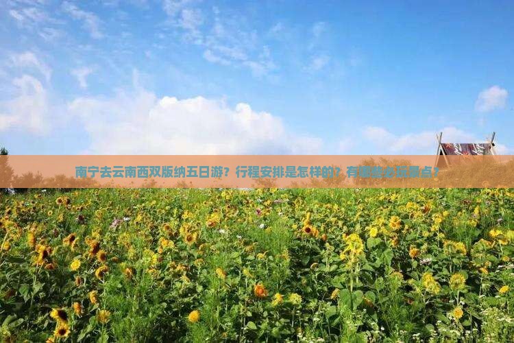 南宁去云南西双版纳五日游？行程安排是怎样的？有哪些必玩景点？