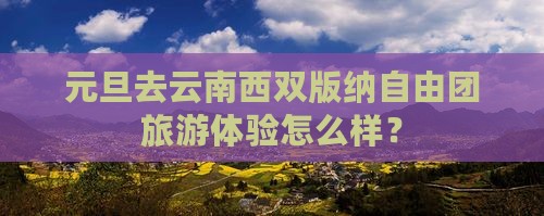 元旦去云南西双版纳自由团旅游体验怎么样？