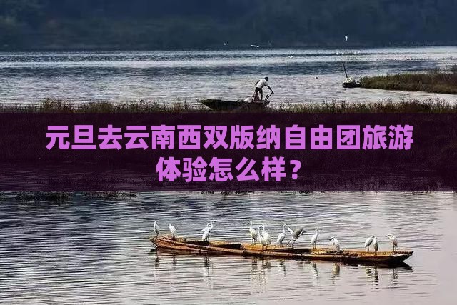 元旦去云南西双版纳自由团旅游体验怎么样？