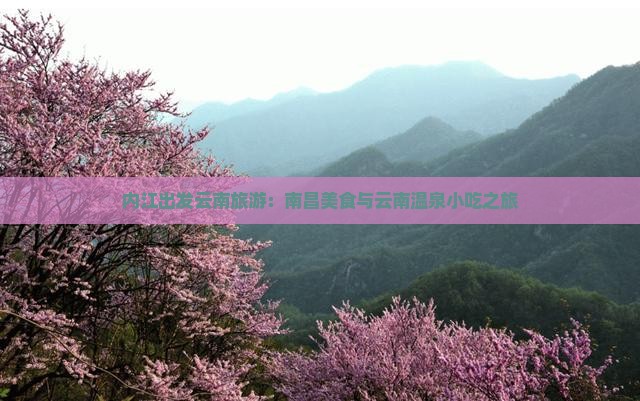 内江出发云南旅游：南昌美食与云南温泉小吃之旅