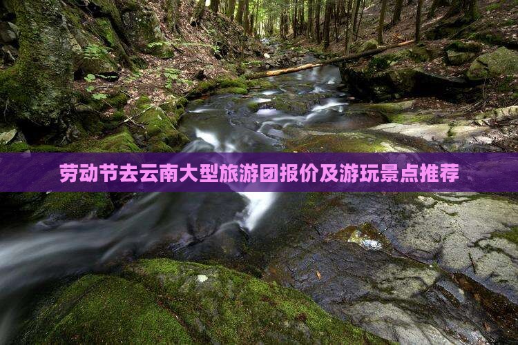 劳动节去云南大型旅游团报价及游玩景点推荐