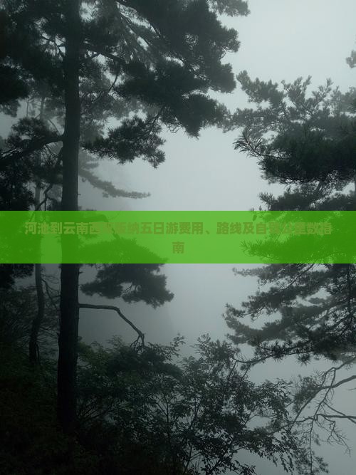 河池到云南西双版纳五日游费用、路线及自驾公里数指南