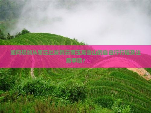 如何规划从枣庄出发到云南玉龙雪山的自由行行程及注意事项？