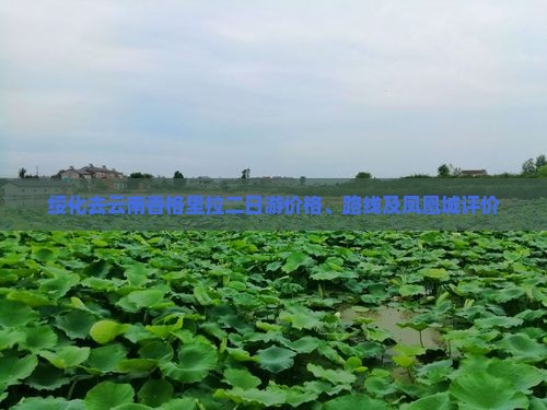 绥化去云南香格里拉二日游价格、路线及凤凰城评价
