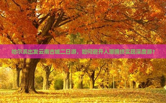 哈尔滨出发云南古城二日游，如何避开人潮拥挤实现深度游？