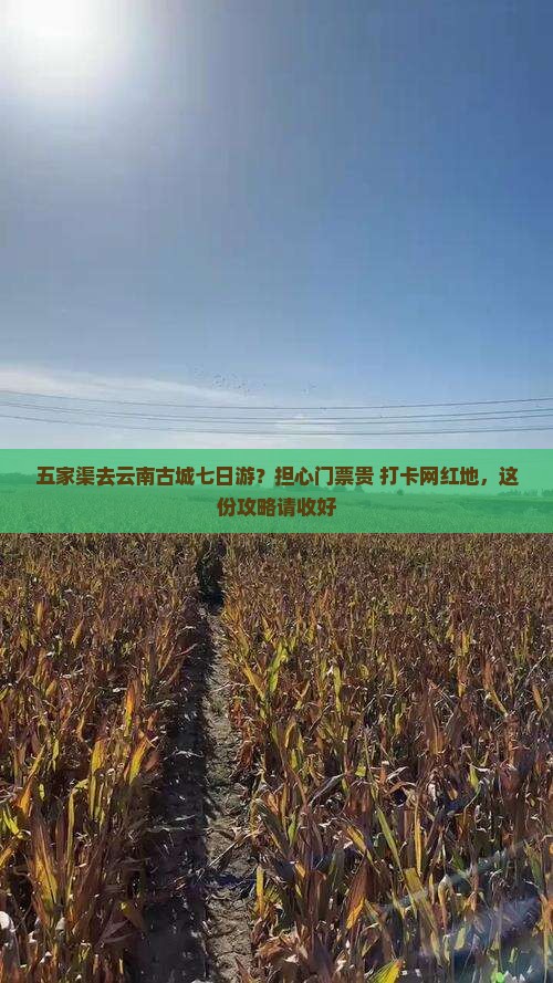 五家渠去云南古城七日游？担心门票贵+打卡网红地，这份攻略请收好