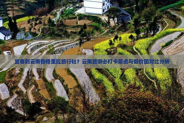 宜春到云南香格里拉旅行社？云南旅游必打卡景点与低价团对比分析