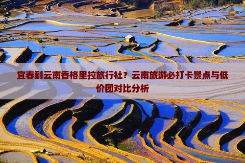 宜春到云南香格里拉旅行社？云南旅游必打卡景点与低价团对比分析