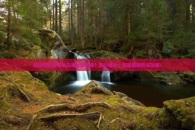 如何用四日游从乌海畅游云南？旅行痛点，掌握最新热词攻略！