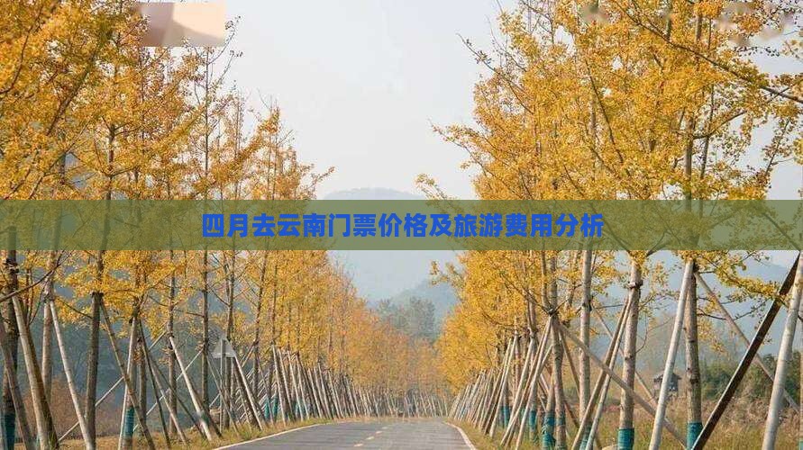 四月去云南门票价格及旅游费用分析