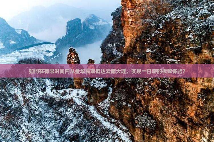 如何在有限时间内从金华高效抵达云南大理，实现一日游的极致体验？